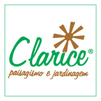 Logo Clarice Site-origin